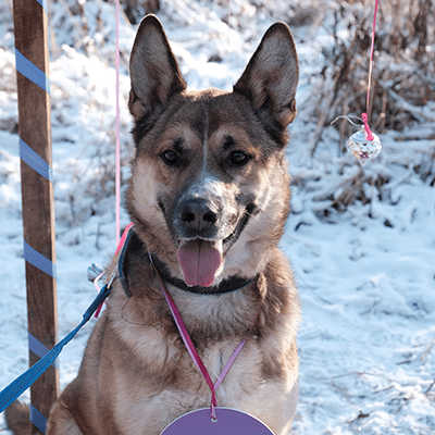 Фотография Миши