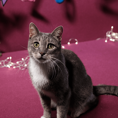 Фотография Джильда