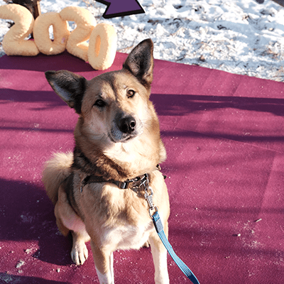 Фотография Брэнды