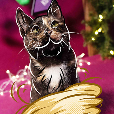 Смешная фотография Панакотты