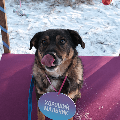 Фотография Пирата