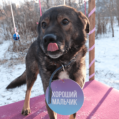 Фотография Фомы