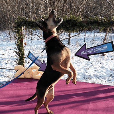 Фотография Тимура