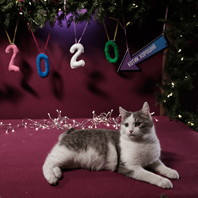 Фотография Луны