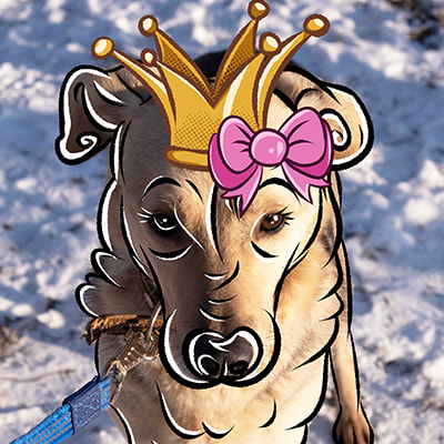 Смешная фотография Синти