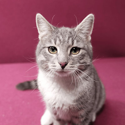 Фотография Эдвина