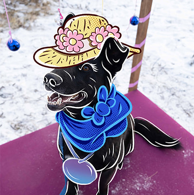 Смешная фотография Венеры