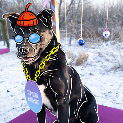 Смешная фотография Шварца